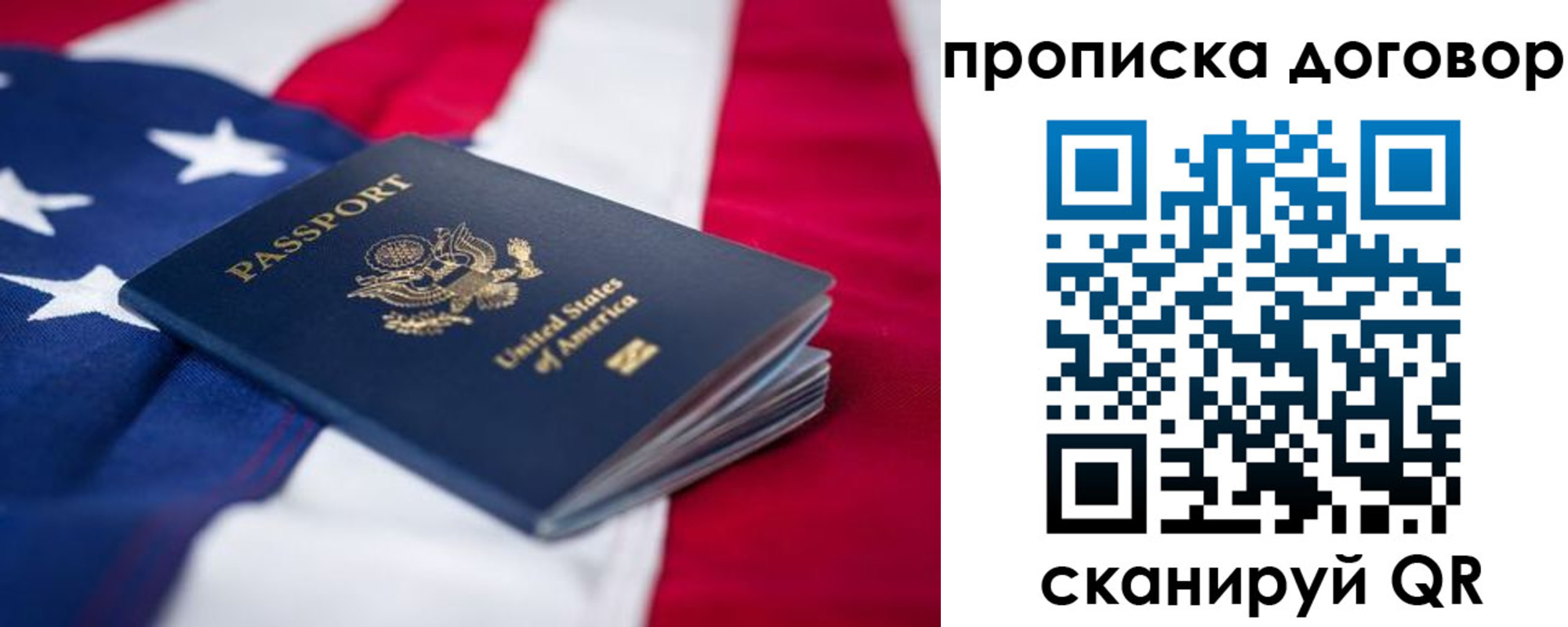 прописка для школы в Димитровграде